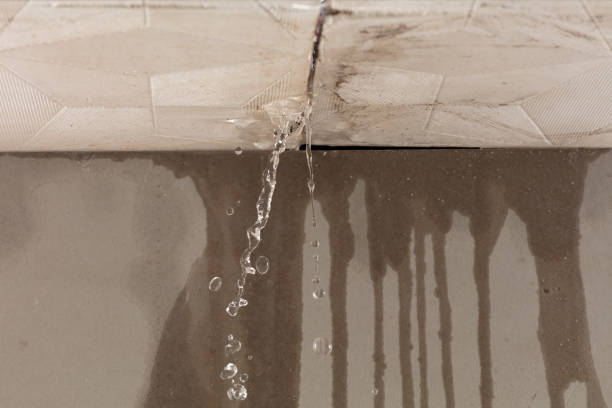 Professional Structural Drying technician working in Waukegan, IL